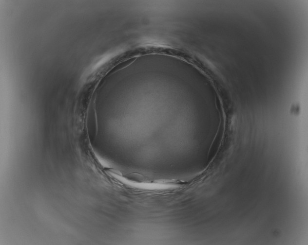 X0000113201303200909241348