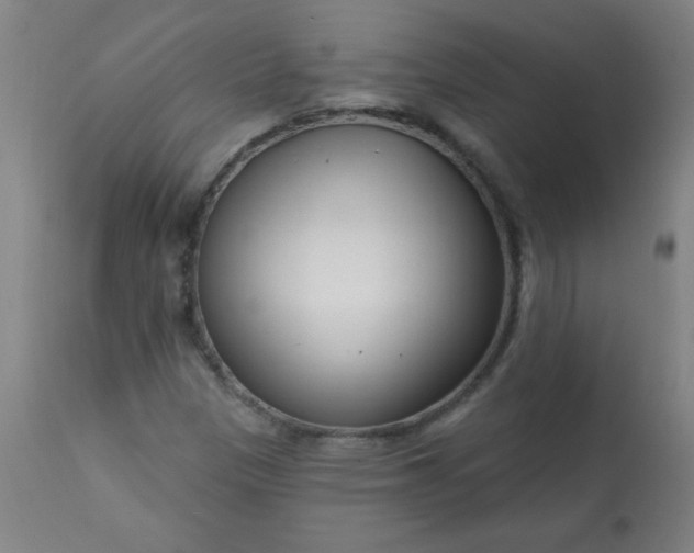 X0000113201305200909241348