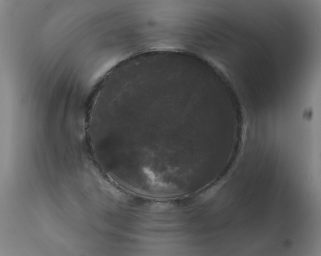 X0000113201306200909241348