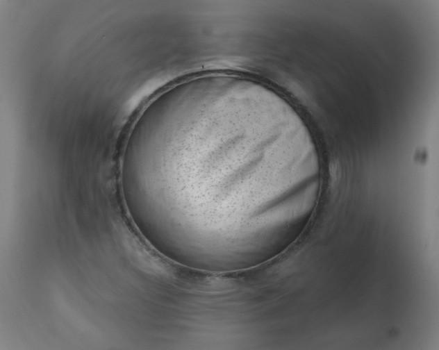 X0000113201308200909241349