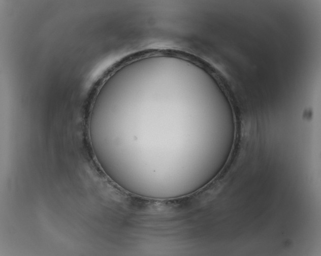 X0000113201311200909241349