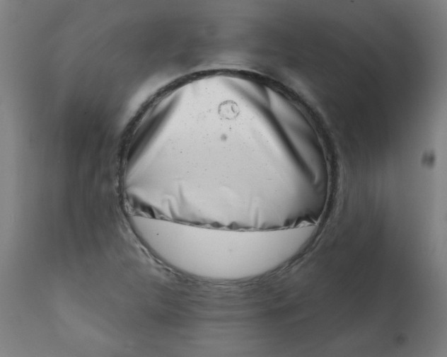 X0000113201312200909241349