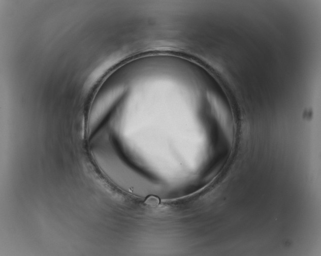 X0000113201317200909241349