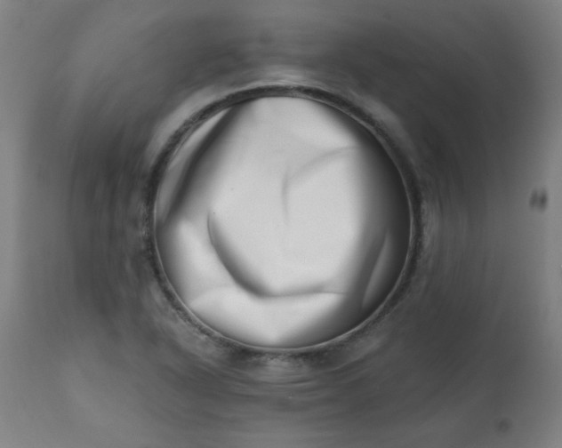 X0000113201318200909241349