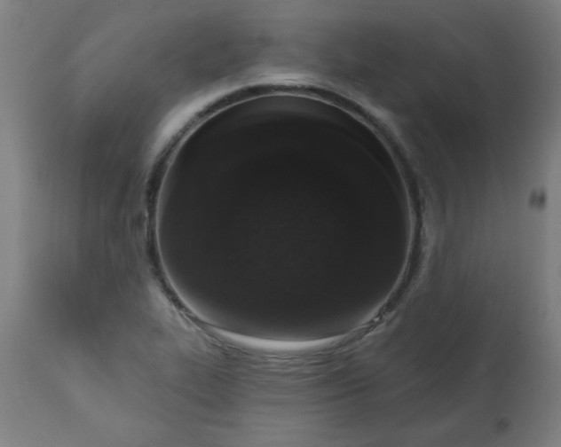 X0000113201319200909241349