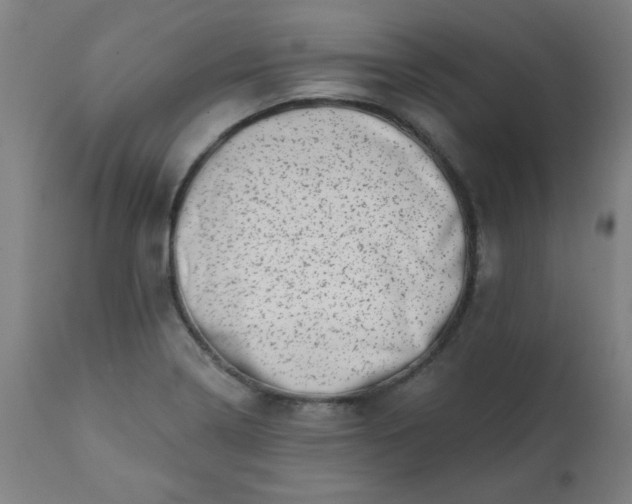 X0000113201322200909241349