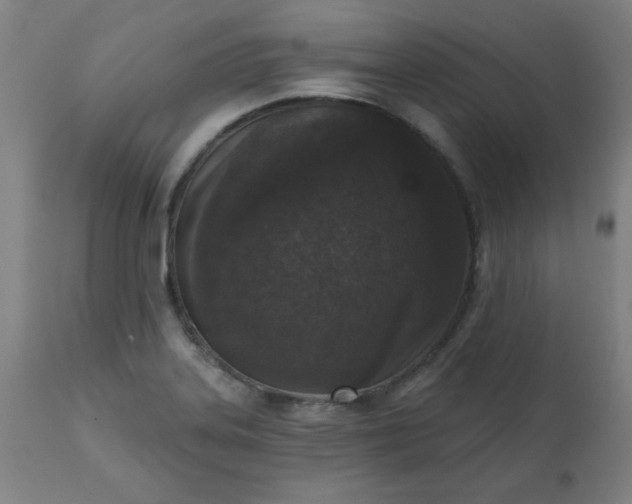 X0000113201323200909241349