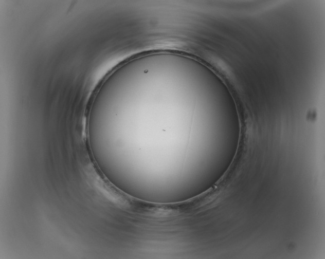 X0000113201324200909241349