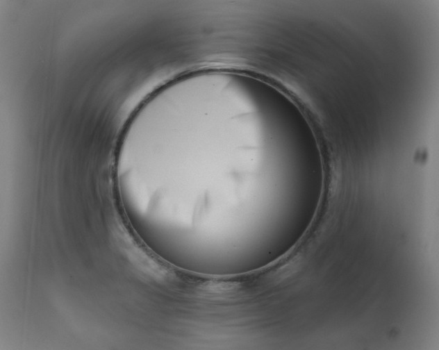 X0000113201325200909241349