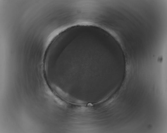 X0000113201327200909241349