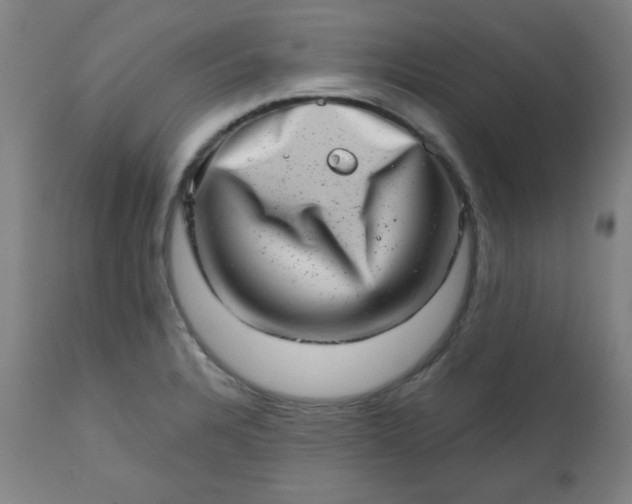 X0000113201328200909241349