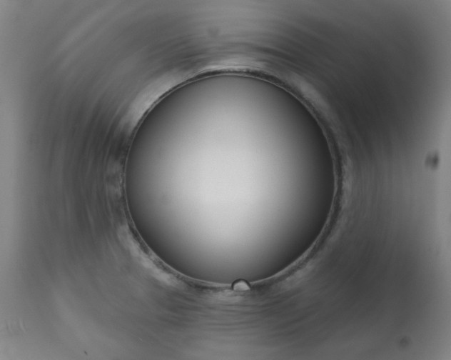 X0000113201329200909241349