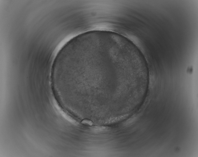 X0000113201331200909241349