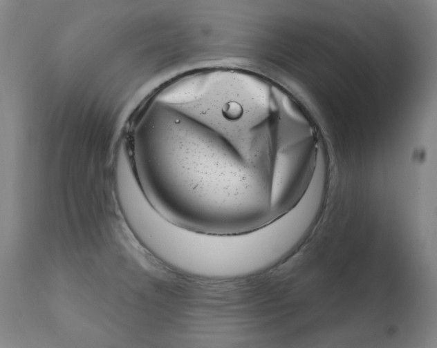 X0000113201332200909241349