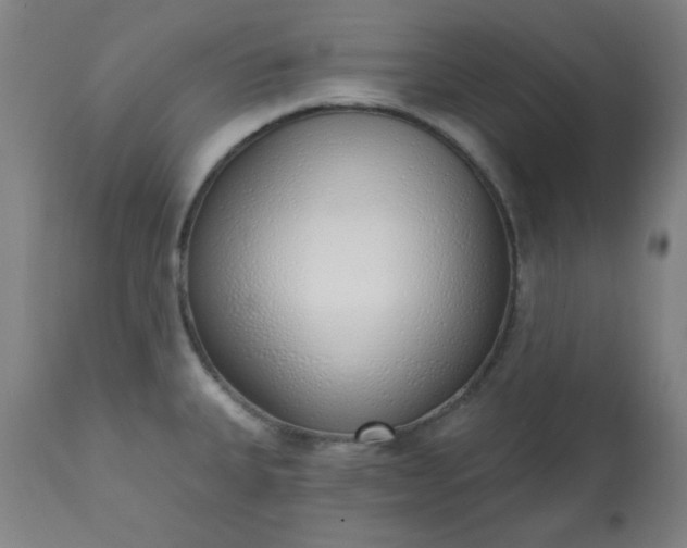 X0000113201335200909241349