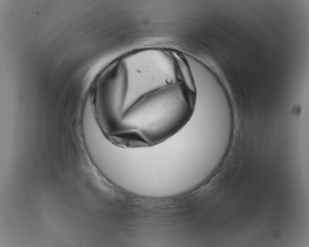 X0000113201336200909241349