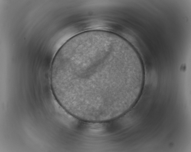 X0000113201338200909241349