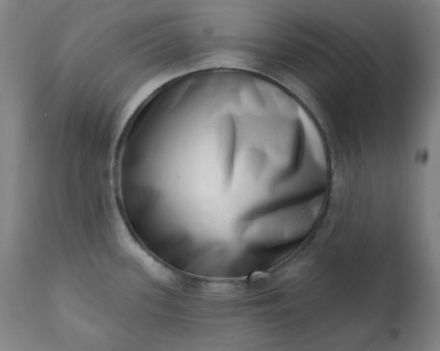 X0000113201339200909241349