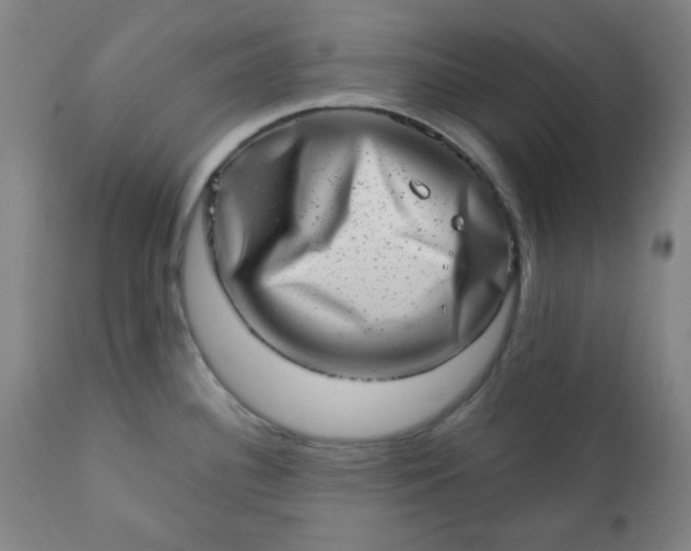 X0000113201340200909241349