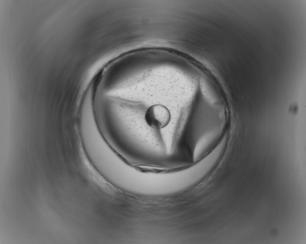 X0000113201342200909241349