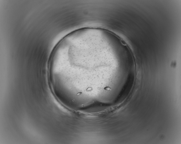 X0000113201343200909241349