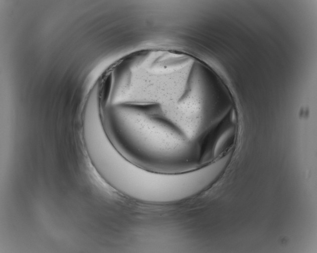 X0000113201344200909241349