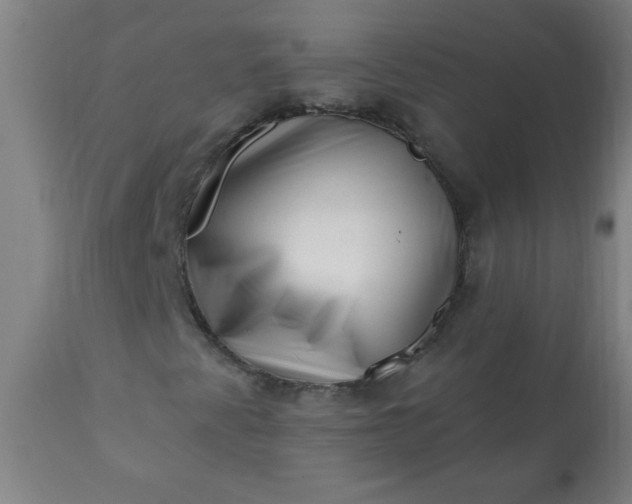 X0000113201345200909241348