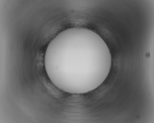 X0000113201346200909241348