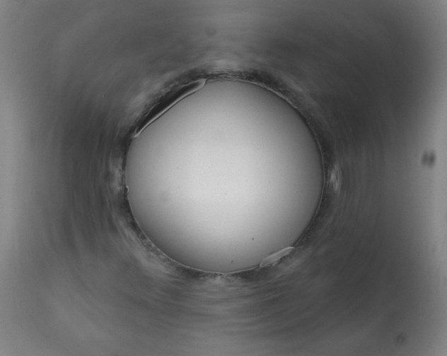 X0000113201348200909241348