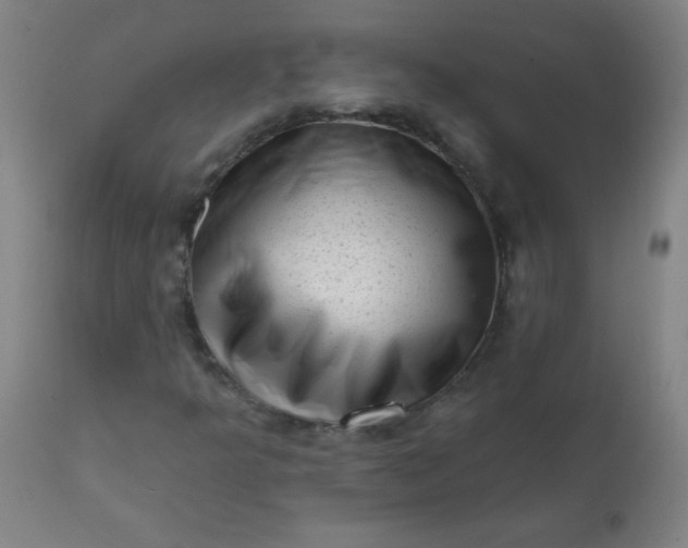 X0000113201349200909241348