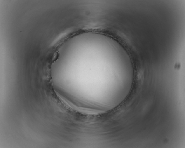 X0000113201350200909241348