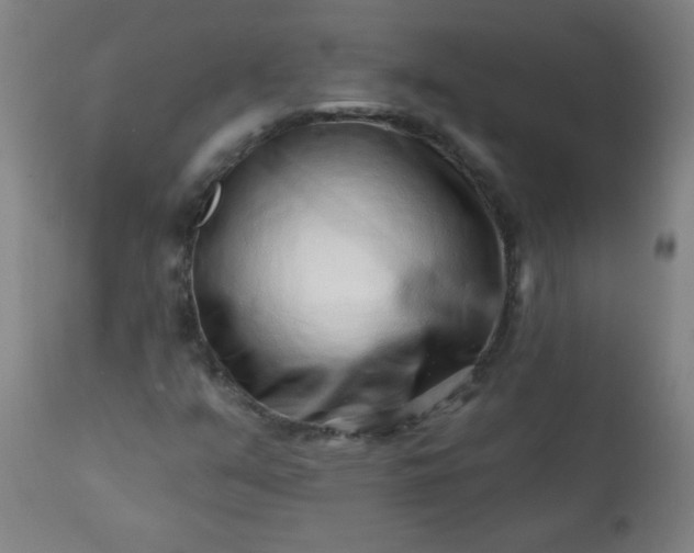 X0000113201351200909241348