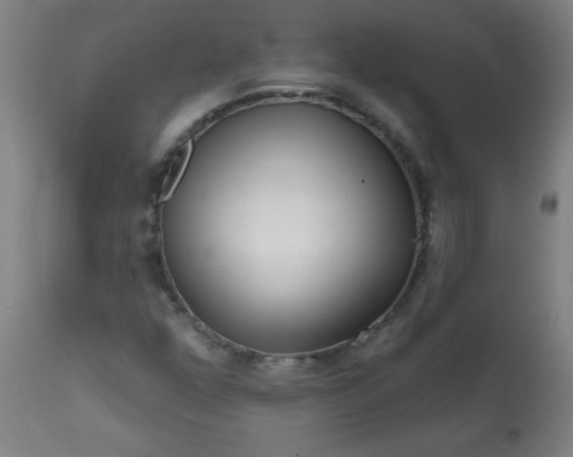 X0000113201352200909241348