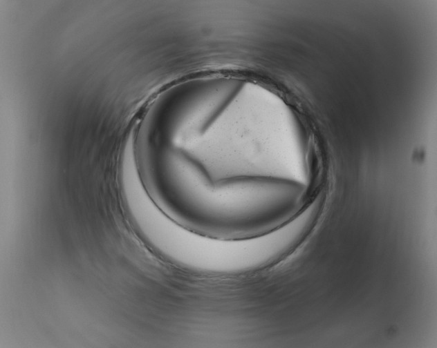 X0000113201353200909241348