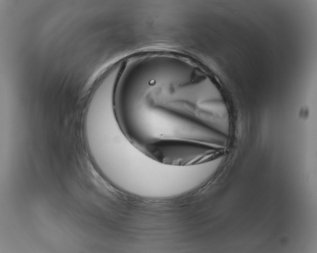 X0000113201356200909241348