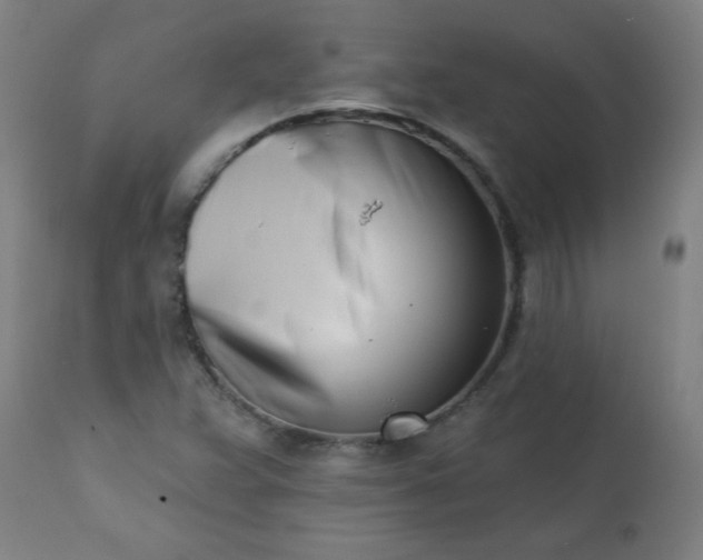 X0000113201359200909241348