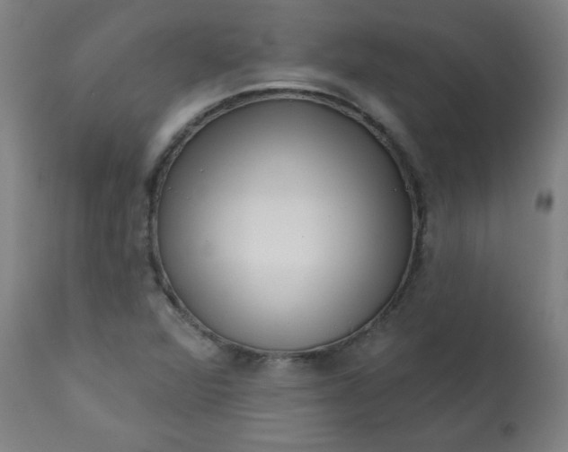 X0000113201360200909241348