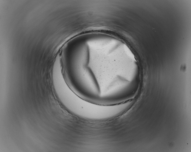 X0000113201361200909241348