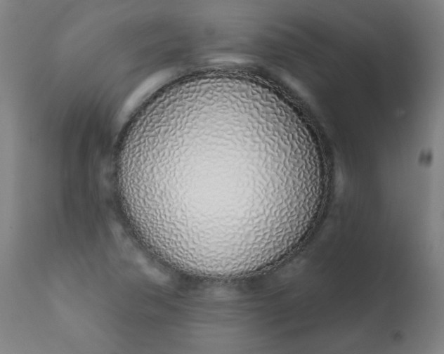 X0000113201362200909241348