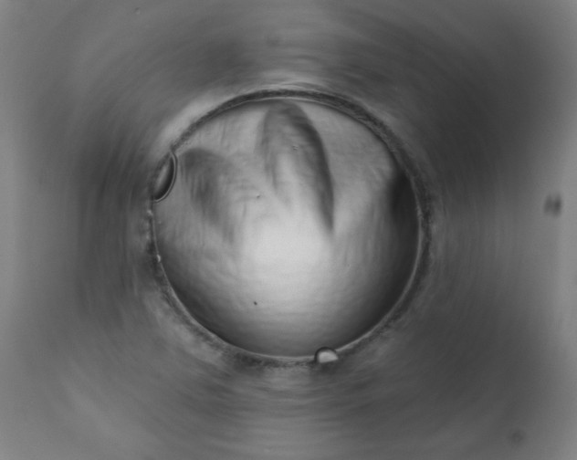 X0000113201363200909241348