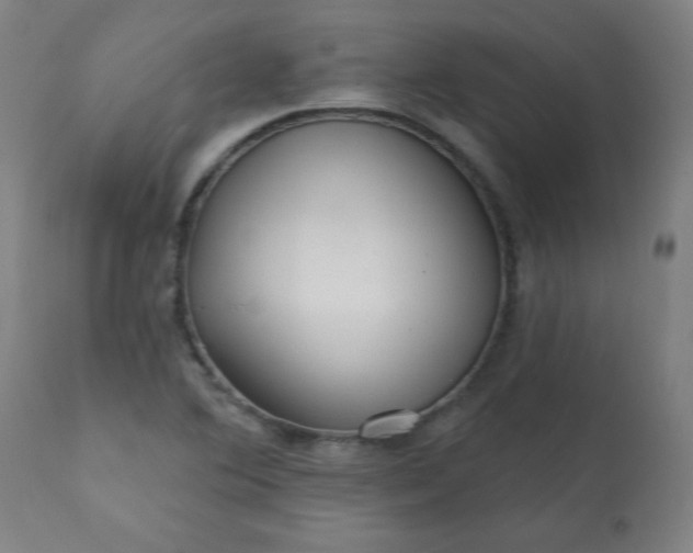 X0000113201364200909241348