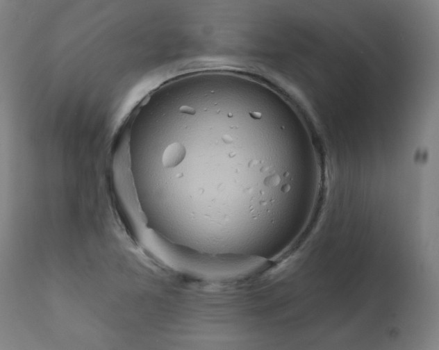 X0000113201365200909241348