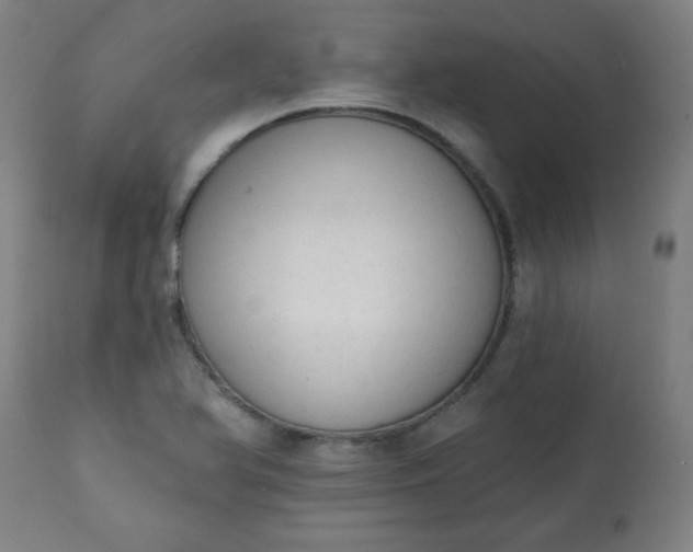 X0000113201366200909241348