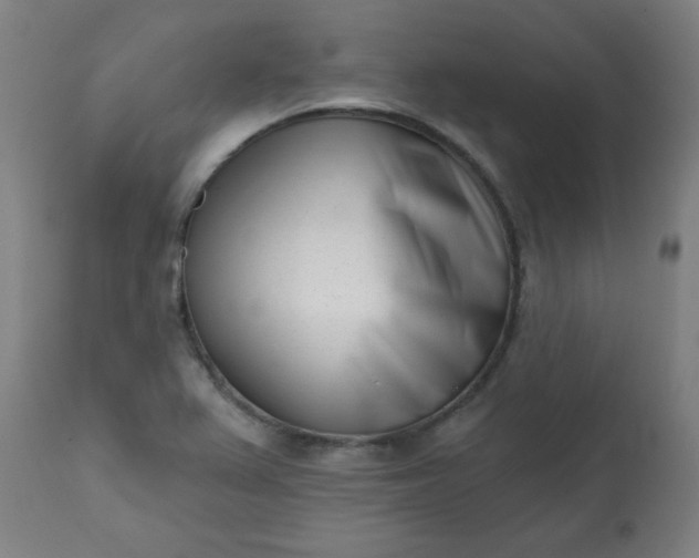 X0000113201367200909241348