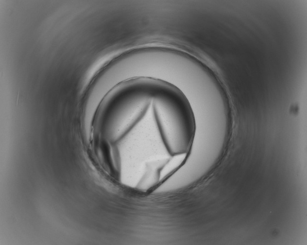 X0000113201368200909241348