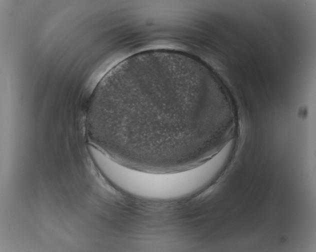 X0000113201369200909241348