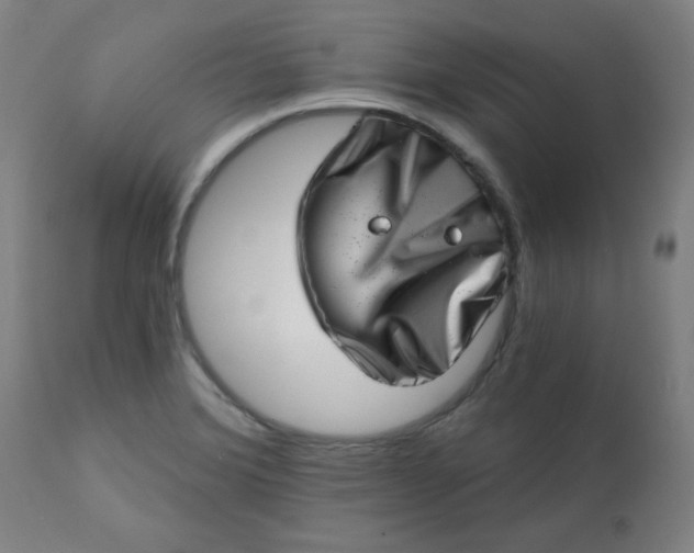 X0000113201372200909241348