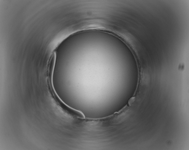 X0000113201373200909241348