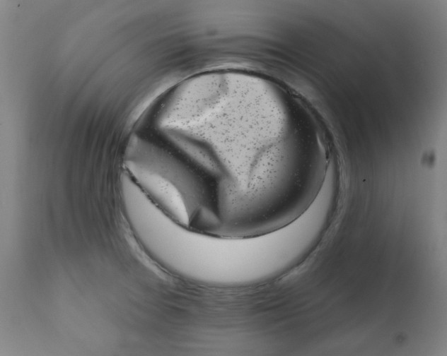 X0000113201377200909241348