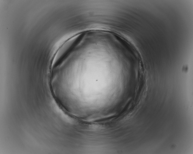 X0000113201379200909241348